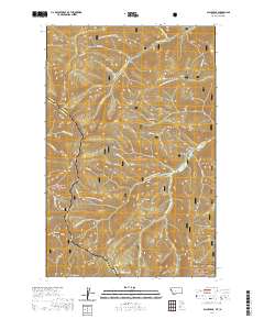 USGS US Topo 7.5-minute map for Black Peak MTID 2020