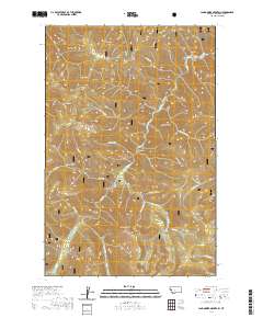 USGS US Topo 7.5-minute map for Landowner Mountain MT 2020