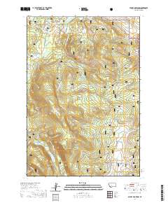 USGS US Topo 7.5-minute map for Selway Mountain MT 2020