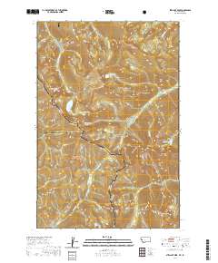 USGS US Topo 7.5-minute map for Straight Peak MTID 2020