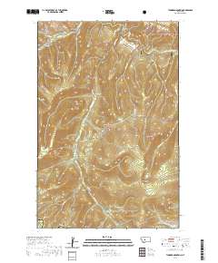USGS US Topo 7.5-minute map for Thunder Mountain MT 2020