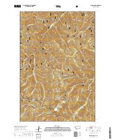 USGS US Topo 7.5-minute map for Torino Peak MTID 2020