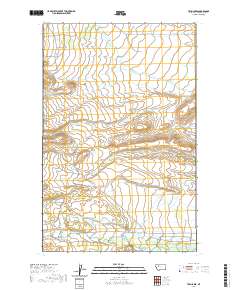 USGS US Topo 7.5-minute map for Twin Lakes MT 2020