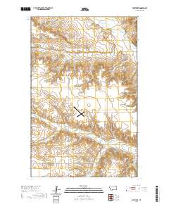 USGS US Topo 7.5-minute map for West Fork MT 2020