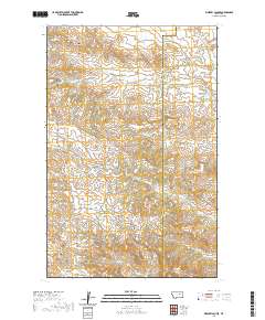 USGS US Topo 7.5-minute map for Whiskey Coulee MT 2020