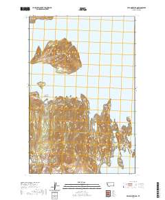 USGS US Topo 7.5-minute map for Wild Horse Island MT 2020