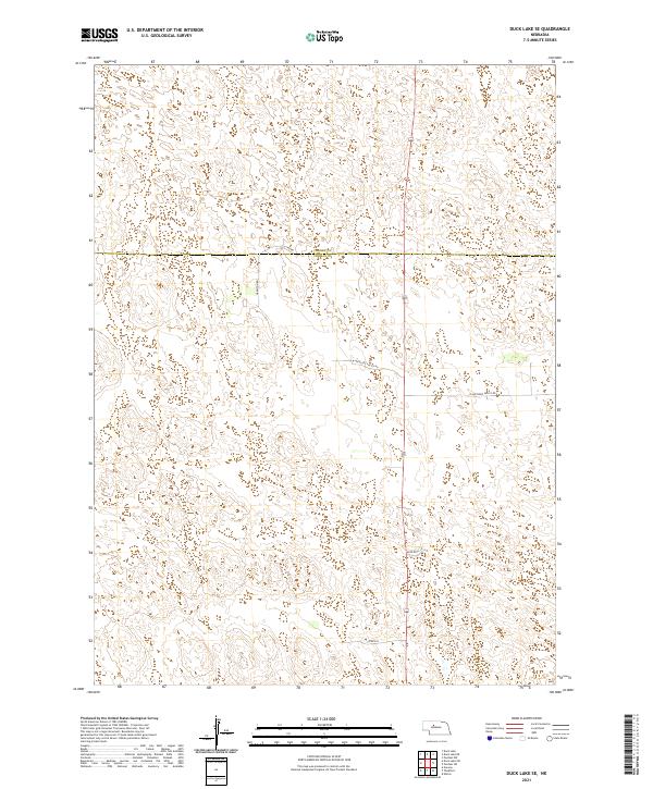 USGS US Topo 7.5-minute map for Duck Lake SE NE 2021