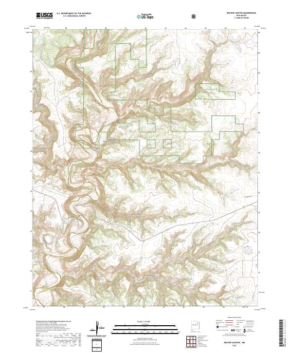 US Topo 7.5-minute map for Beaver Canyon NM