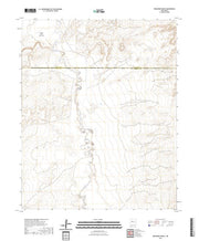 US Topo 7.5-minute map for Benavidez Ranch NM