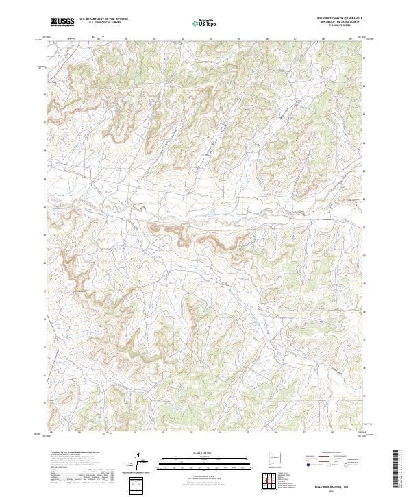 US Topo 7.5-minute map for Billy Rice Canyon NM