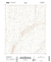 US Topo 7.5-minute map for Bishop Ranch NM