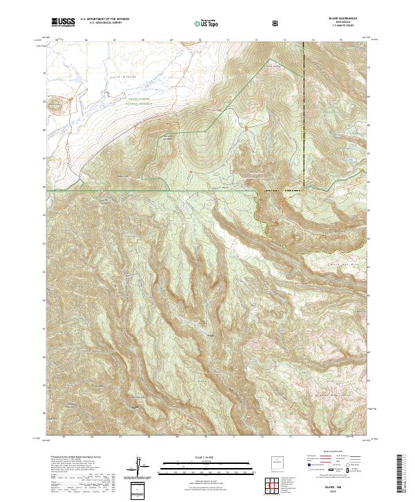 US Topo 7.5-minute map for Bland NM