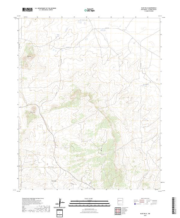 US Topo 7.5-minute map for Blue Hills NM