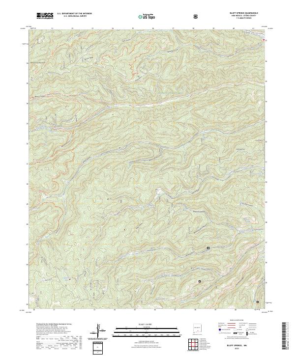 US Topo 7.5-minute map for Bluff Springs NM