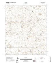 US Topo 7.5-minute map for Bluit NM