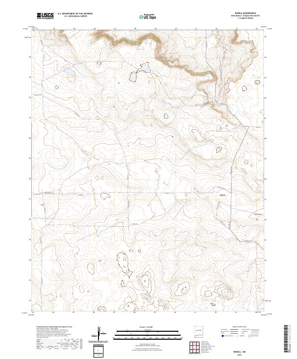 US Topo 7.5-minute map for Borica NM