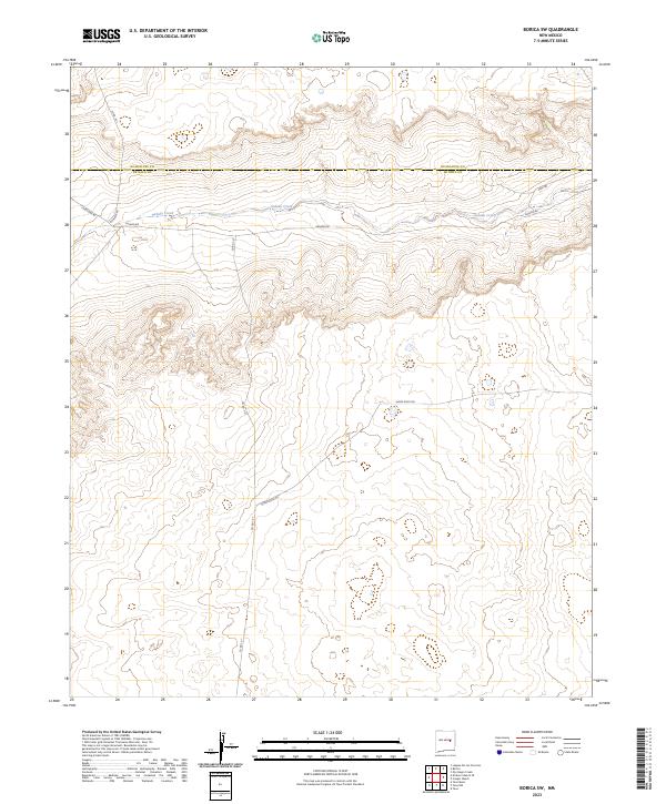 US Topo 7.5-minute map for Borica SW NM