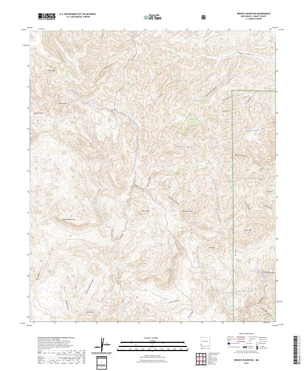 US Topo 7.5-minute map for Brushy Mountain NM