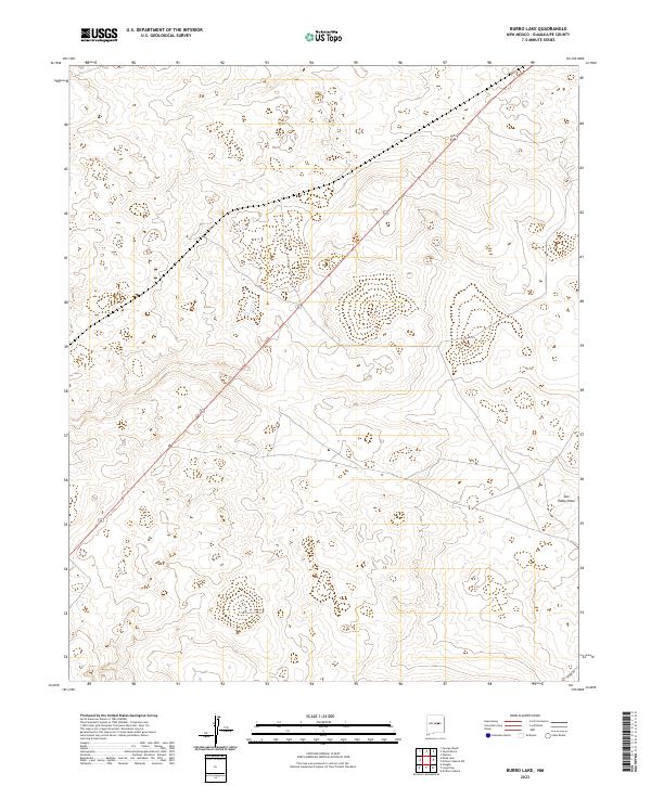 US Topo 7.5-minute map for Burro Lake NM