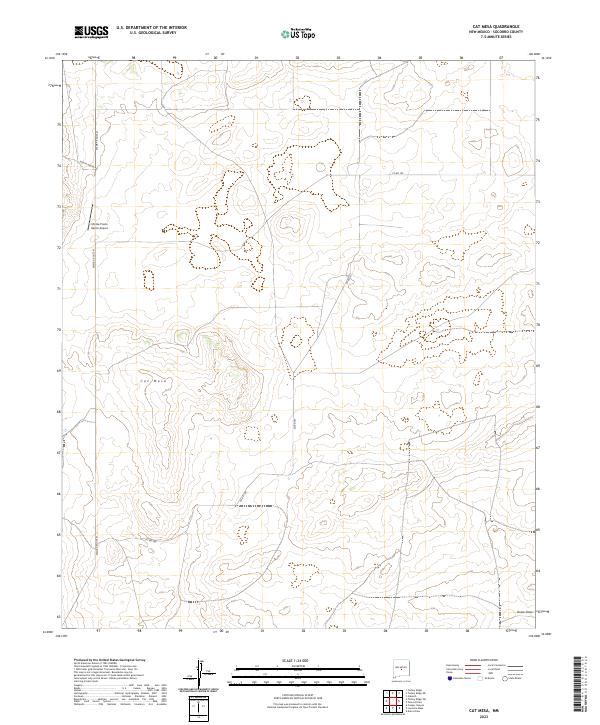 US Topo 7.5-minute map for Cat Mesa NM