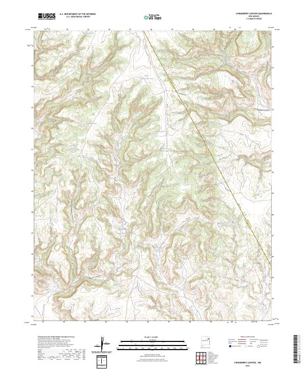 US Topo 7.5-minute map for Chinaberry Canyon NM