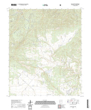 US Topo 7.5-minute map for Collins Park NM