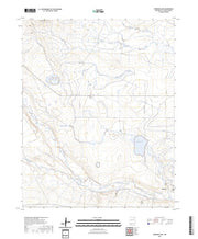 US Topo 7.5-minute map for Springer Lake NM