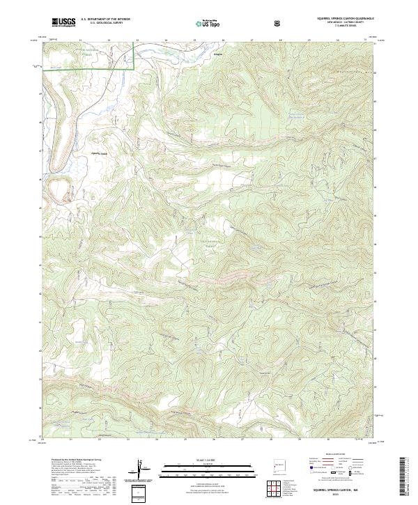 US Topo 7.5-minute map for Squirrel Springs Canyon NM