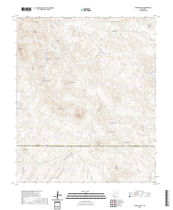 US Topo 7.5-minute map for Steeple Rock NM