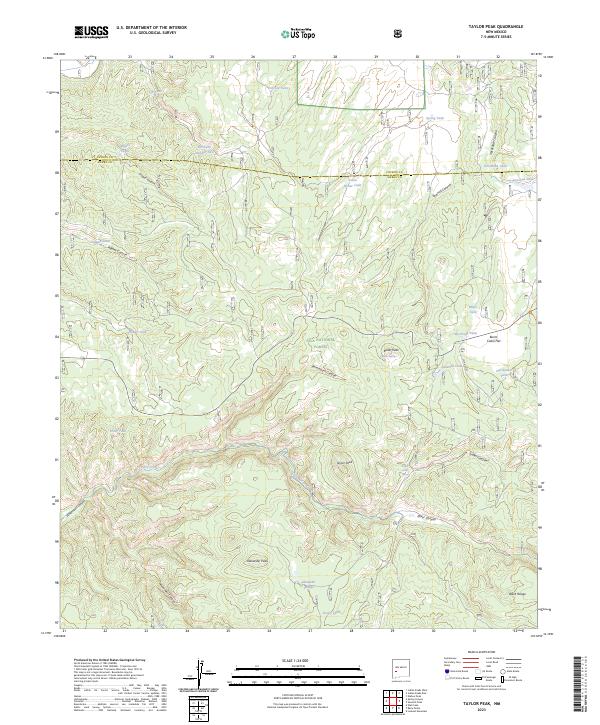 US Topo 7.5-minute map for Taylor Peak NM