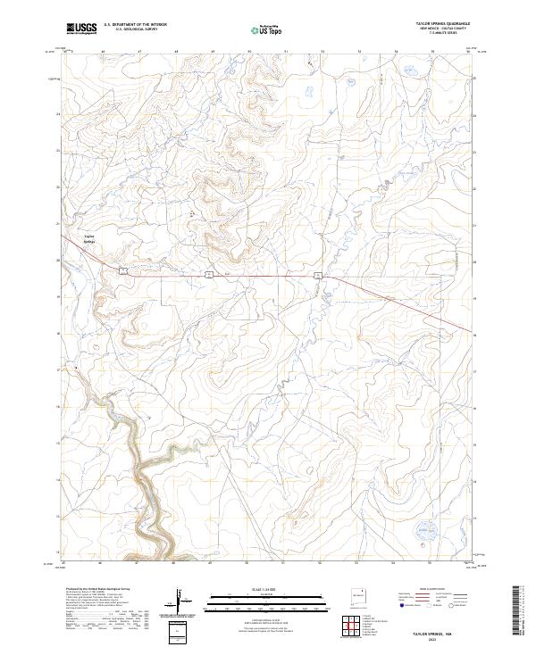 US Topo 7.5-minute map for Taylor Springs NM