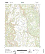 US Topo 7.5-minute map for Toadlena NM