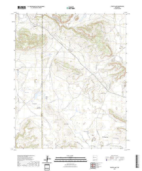 US Topo 7.5-minute map for Togeye Lake NM