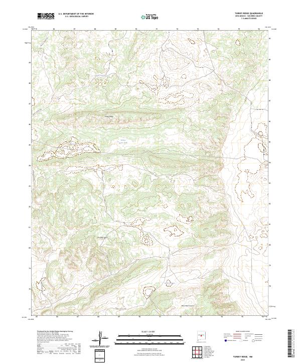 US Topo 7.5-minute map for Turkey Ridge NM