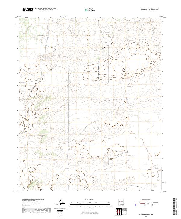 US Topo 7.5-minute map for Turkey Ridge NE NM