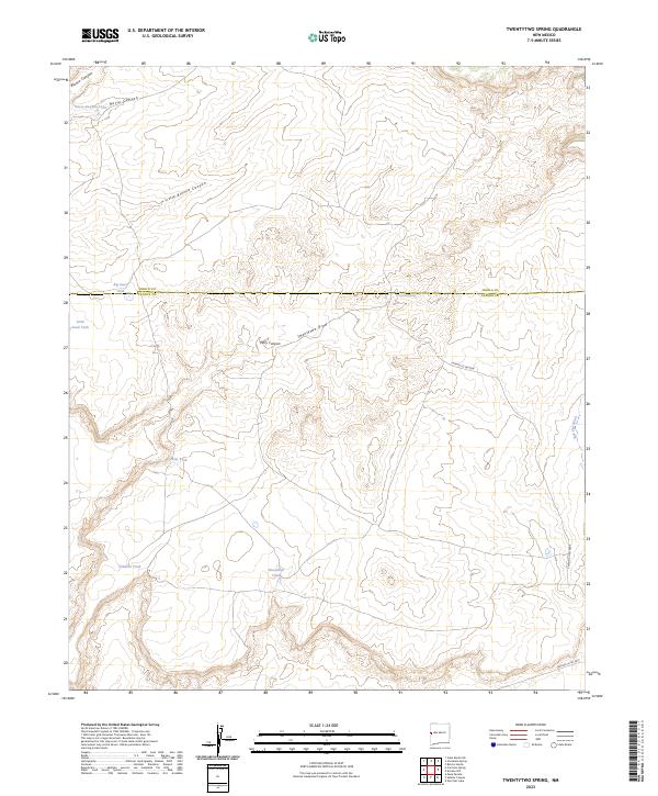 US Topo 7.5-minute map for Twentytwo Spring NM