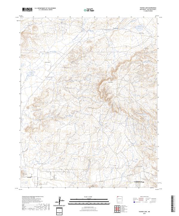 US Topo 7.5-minute map for Youngs Lake NM