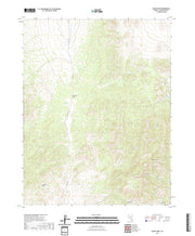 US Topo 7.5-minute map for Mount Irish NV