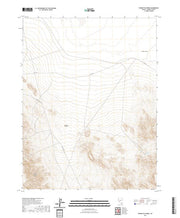 US Topo 7.5-minute map for Poinsettia Spring NV