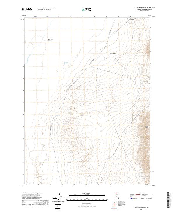 US Topo 7.5-minute map for Salt Water Spring NV