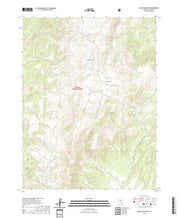 US Topo 7.5-minute map for Savory Mountain NV