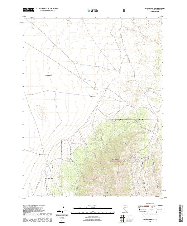 US Topo 7.5-minute map for Seligman Canyon NV