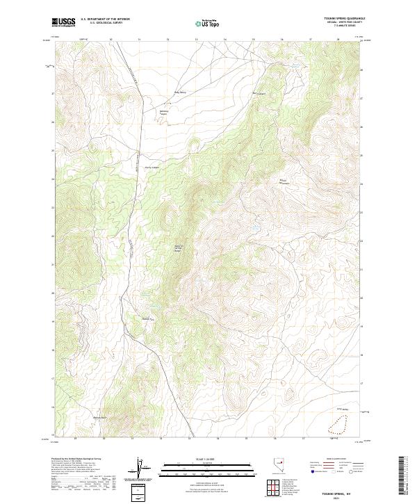 US Topo 7.5-minute map for Tognini Spring NV