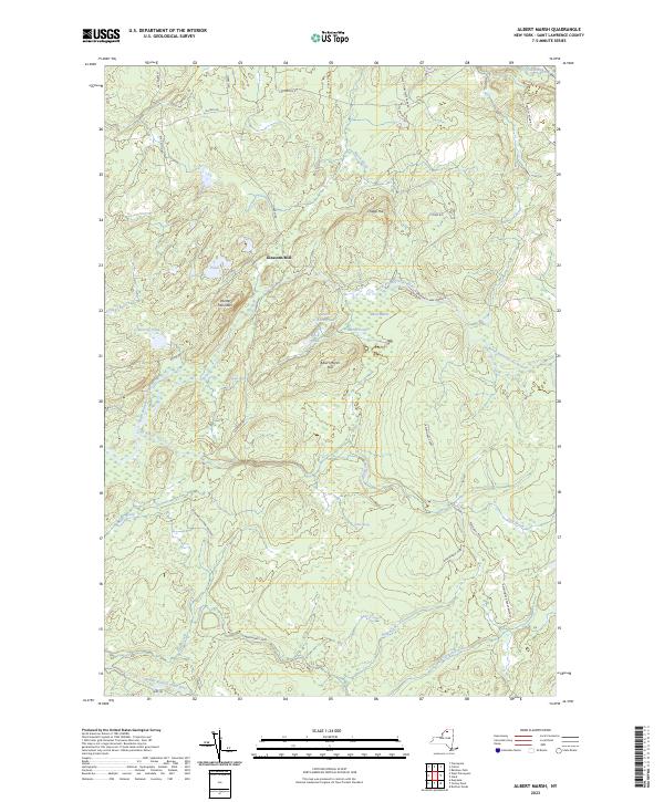 US Topo 7.5-minute map for Albert Marsh NY