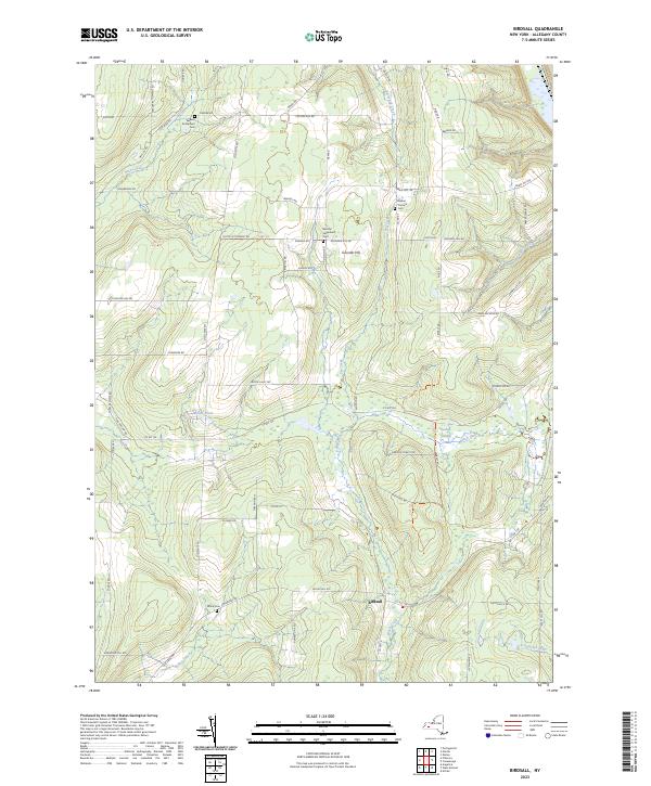 US Topo 7.5-minute map for Birdsall NY