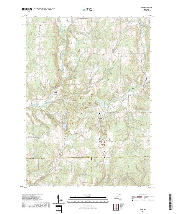 US Topo 7.5-minute map for Bliss NY