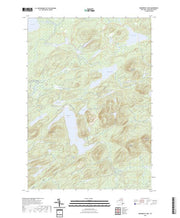 US Topo 7.5-minute map for Brandreth Lake NY