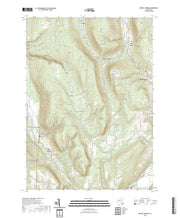 US Topo 7.5-minute map for Bristol Springs NY