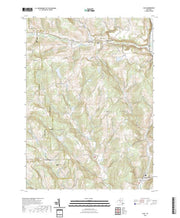 US Topo 7.5-minute map for Lisle NY