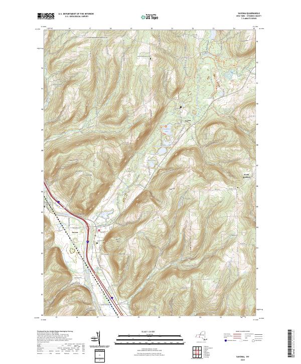 US Topo 7.5-minute map for Savona NY